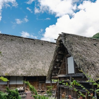 南砺市の茅葺屋根の様子（富山県南砺市）の写真