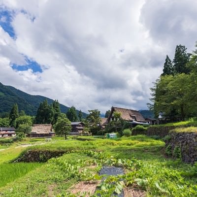 段々の田畑と相倉集落の写真