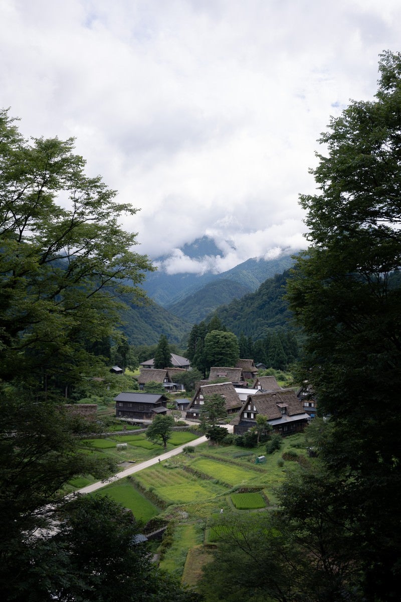 木々の間から望む山間の相倉集落の写真