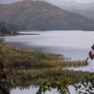 木々の枝越しに見る紅葉の秋元湖の写真