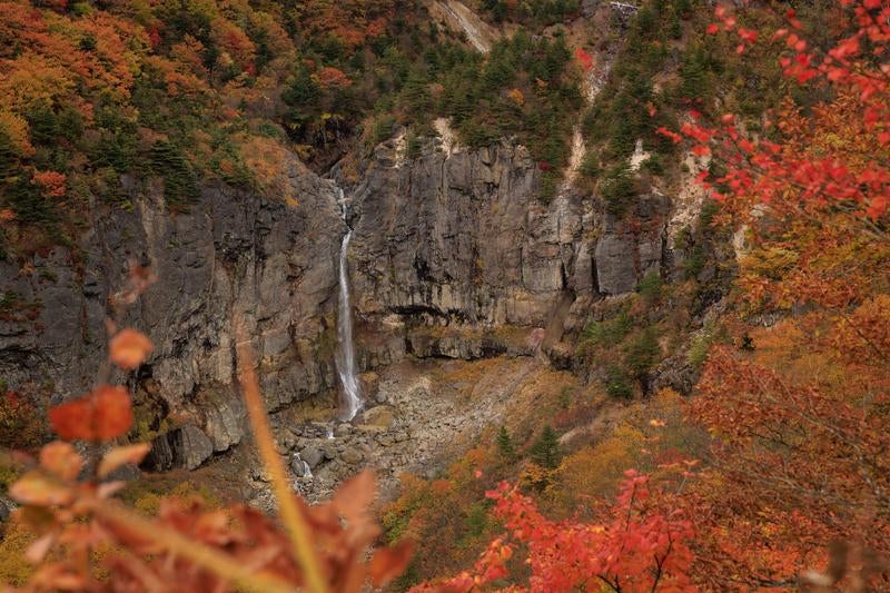 秋の断壁の壮大な景観と紅葉に彩られた白糸の滝の写真