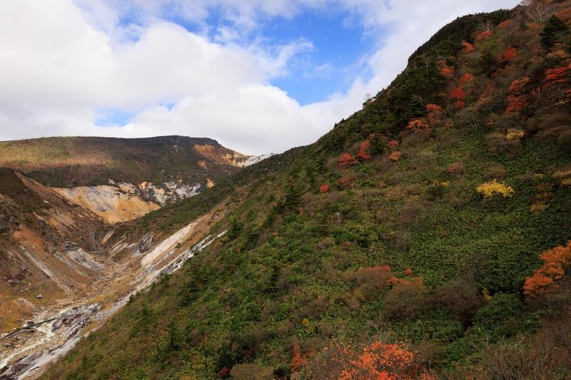 湯畑周辺の紅葉、沼尻ルートでの秋の自然散策の写真