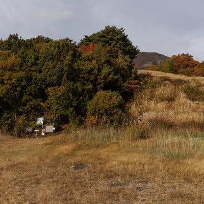 磐梯山への入口、翁島登山口前に広がる草原の写真