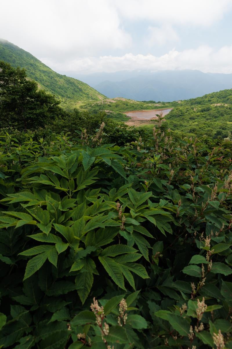 猪苗代登山口の沼の探訪記の写真