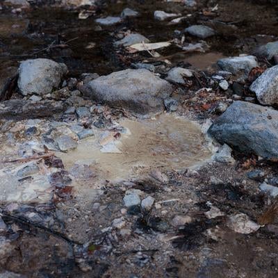 磐梯山の湿地帯地面の写真