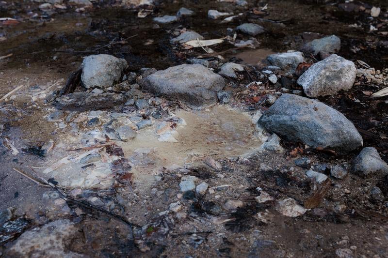 磐梯山の湿地帯地面の写真