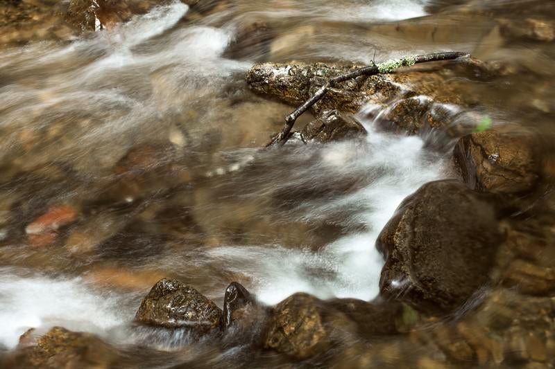 小川の流れの写真