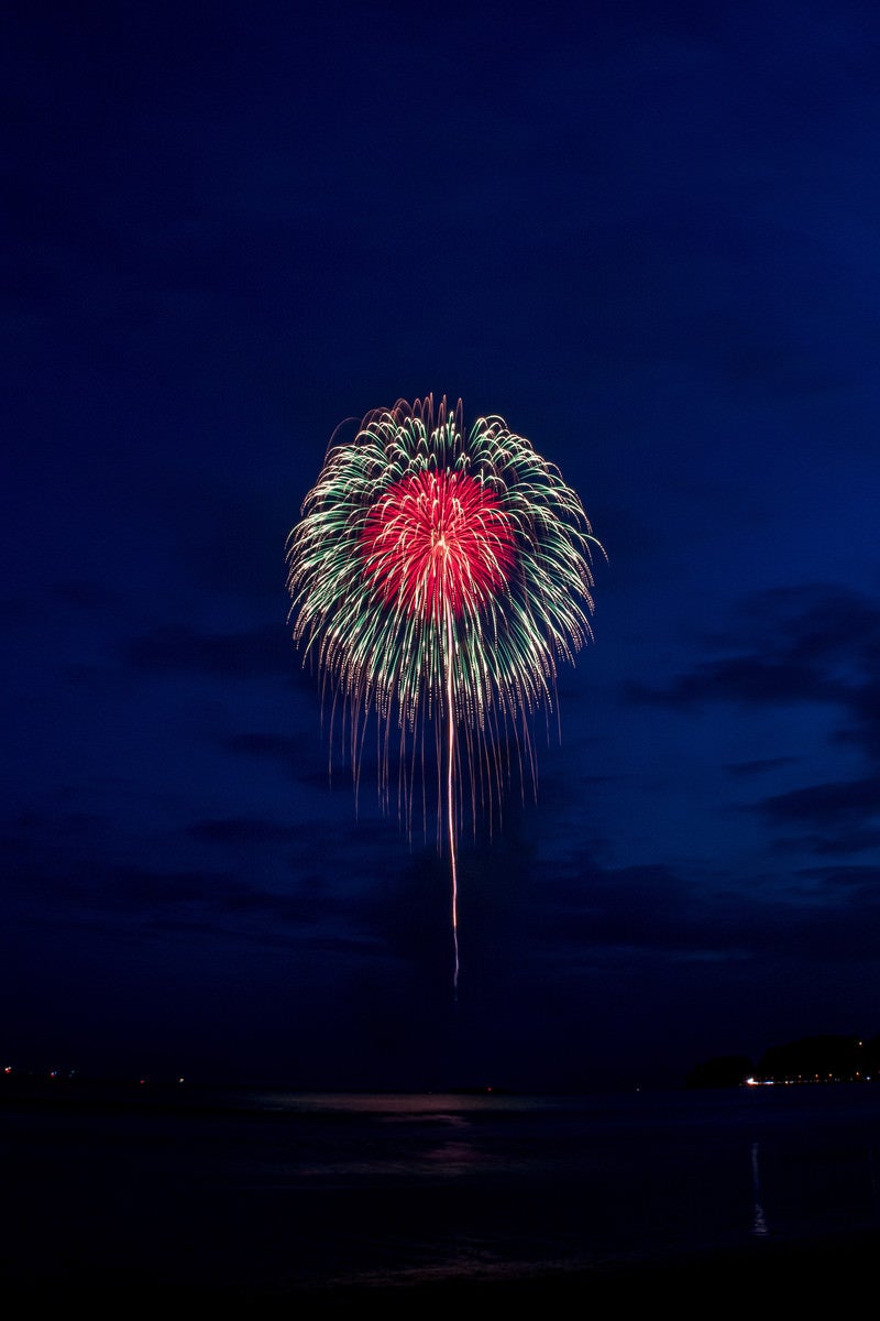 触手のように伸びる打上花火の写真