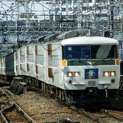 JR東日本管内の湘南ライナーの写真