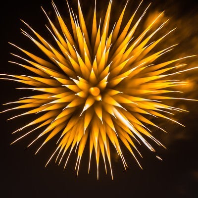 夜空に咲く黄色いたんぽぽの花火の写真