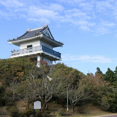 万木城跡公園の展望台の写真