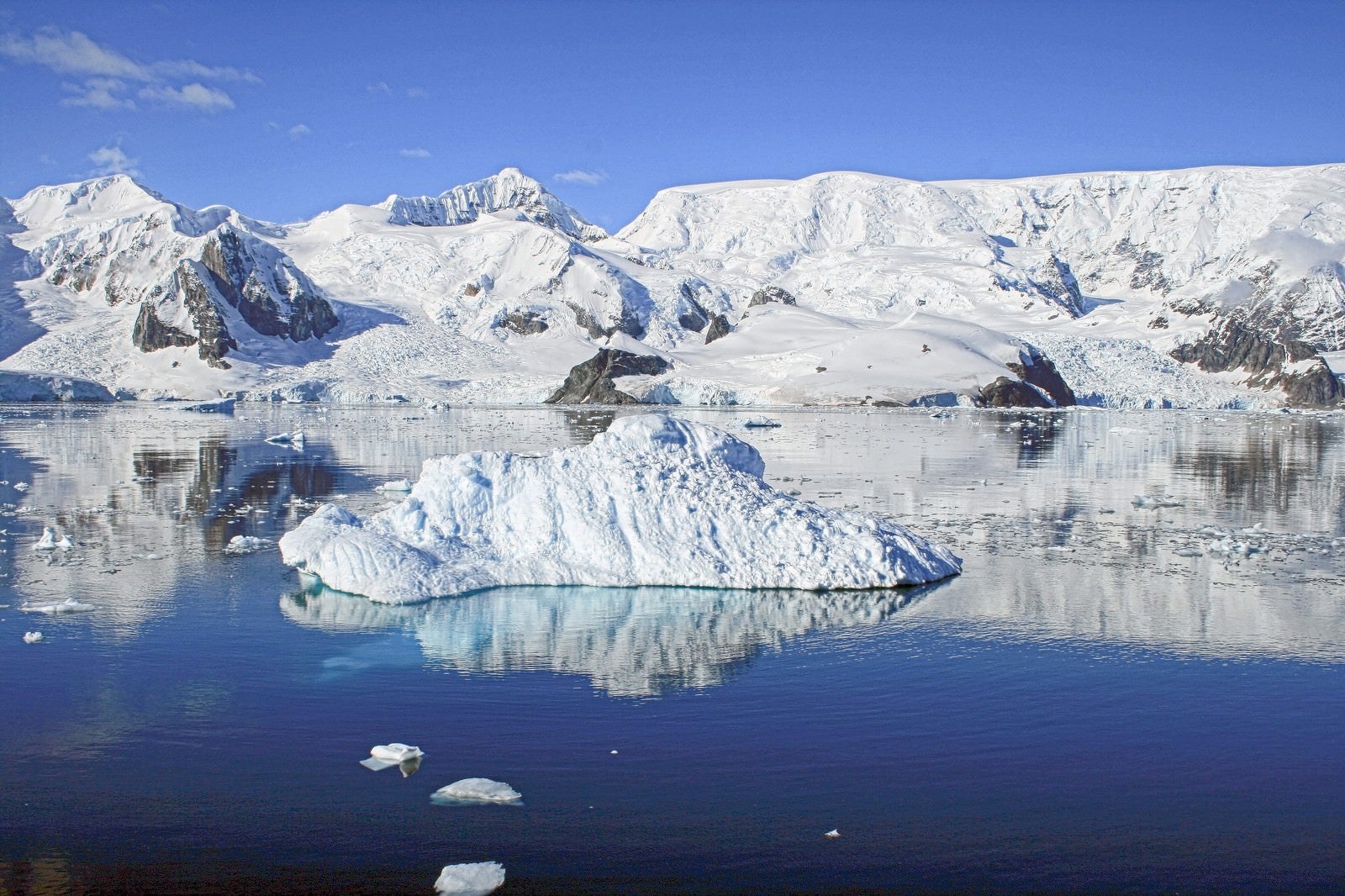 「パラダイスベイの流氷」の写真