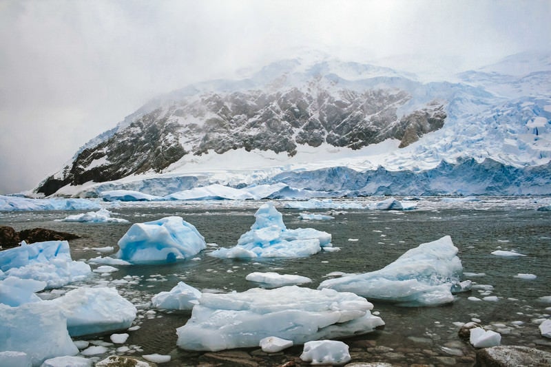 氷の壁と流氷の写真