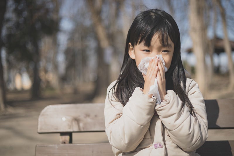 花粉症の時期、ティッシュで鼻をかむ女の子の写真