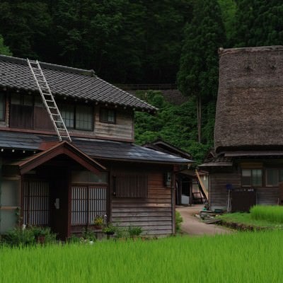 菅沼集落の田んぼとのどかな風景の写真