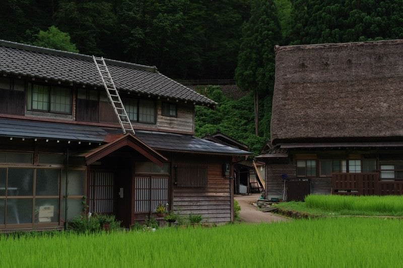 菅沼集落の田んぼとのどかな風景の写真