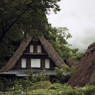 木々に間に見える茅葺屋根の写真