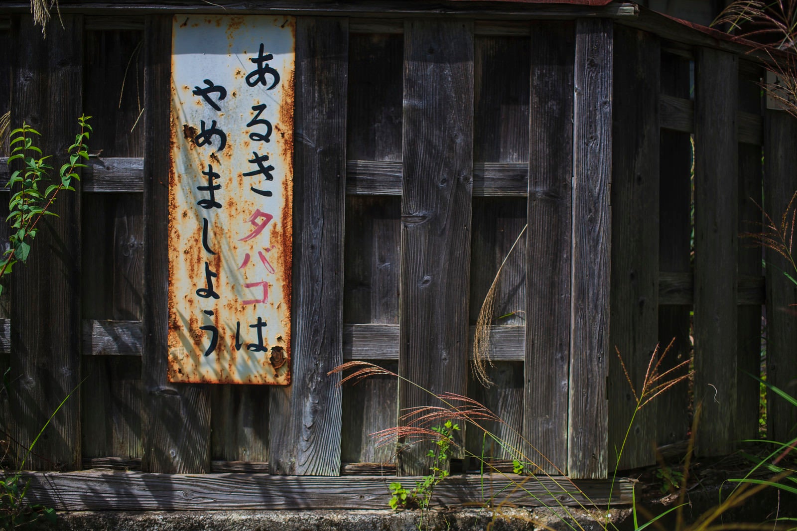 「あるきタバコはやめましょう」の写真