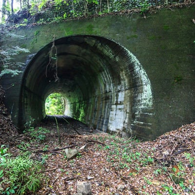 山奥の廃線とトンネルの写真