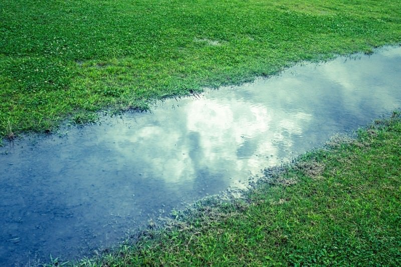 雨上がり映り込む空の写真