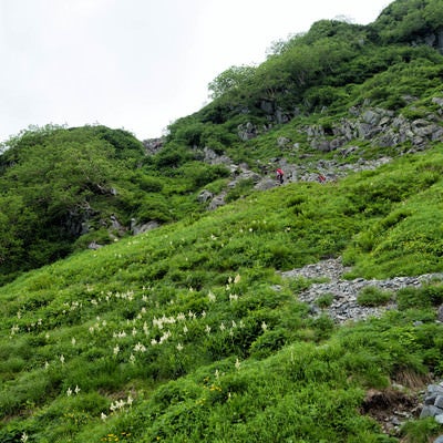 北穂高南陵へ取り付く登山者の写真