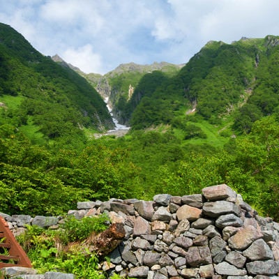 岳沢山荘から見上げる新緑の吊尾根（上高地）の写真