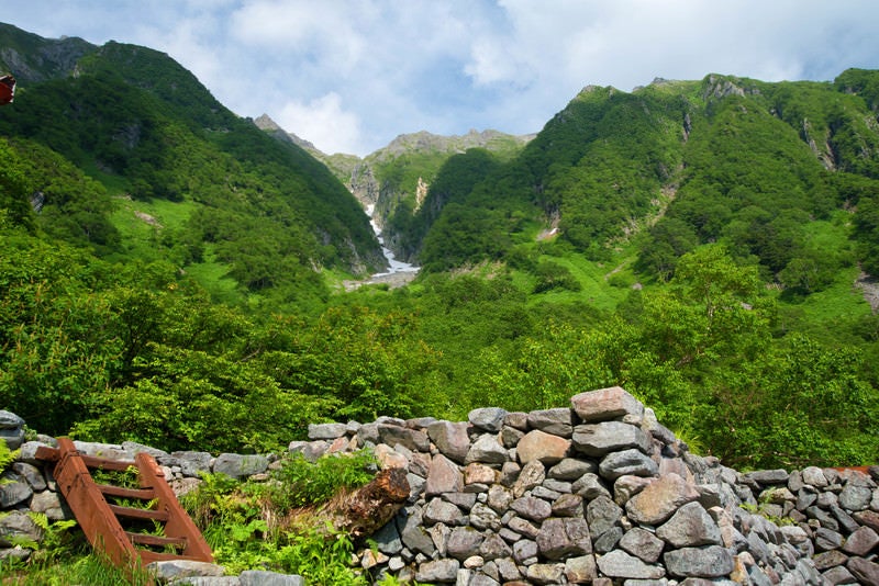 岳沢山荘から見上げる新緑の吊尾根（上高地）の写真