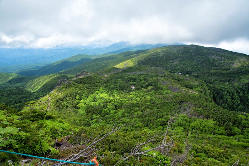 東天狗岳山頂から俯瞰した北八ヶ岳の森の写真