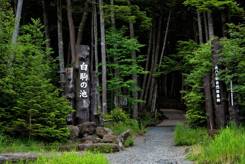 白駒の池の入り口にある標識の写真