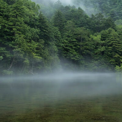 霧が掛かり始める明神池（上高地）の写真