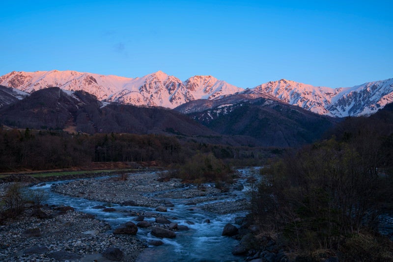 朝焼けに染まる白馬三山の写真