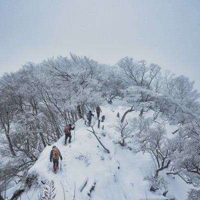 厳冬の丹沢主稜線を進む登山者（神奈川県）の写真