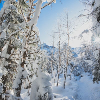 雪深い白と青の登山道の写真