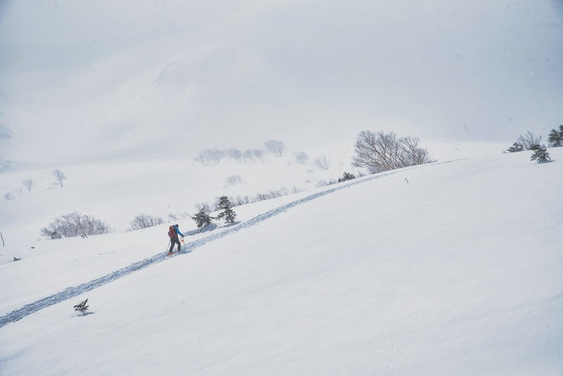 雪山のトレースに沿って進む登山者の写真