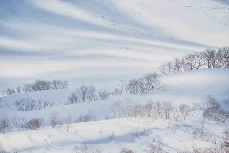 波打つ雪の表面に走る光の写真