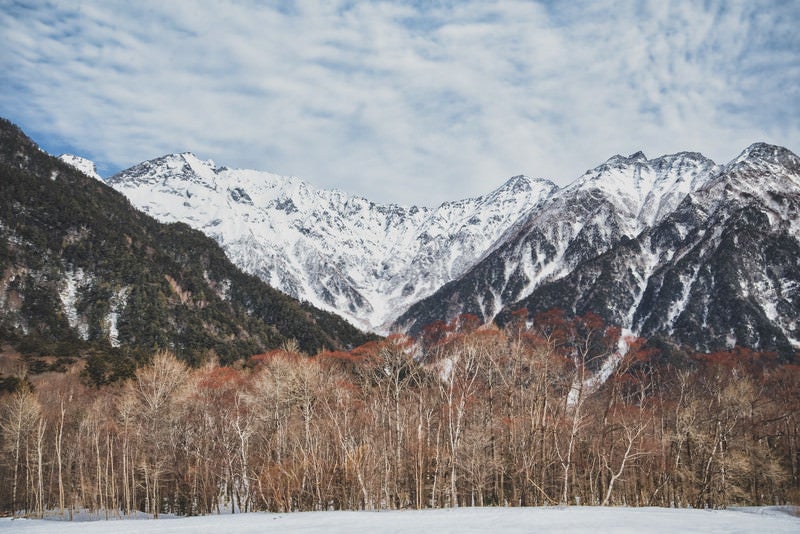 上高地の森から見る穂高連峰（北アルプス）の写真