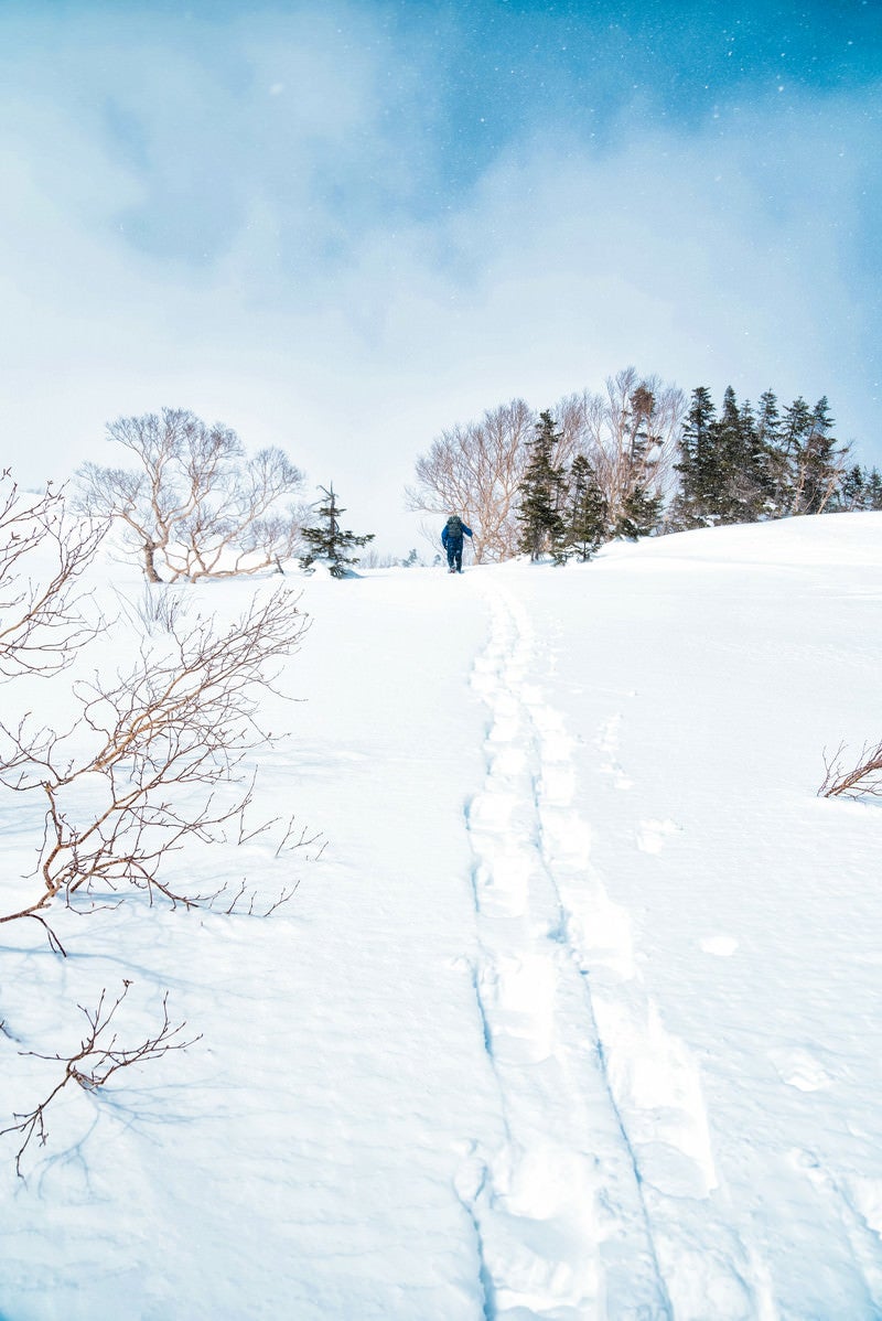 乗鞍高原を登るスノーシュー跡（飛騨山脈）の写真