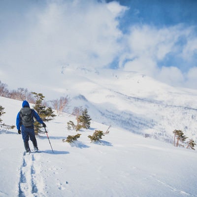 乗鞍高原を見渡す登山者（北アルプス）の写真