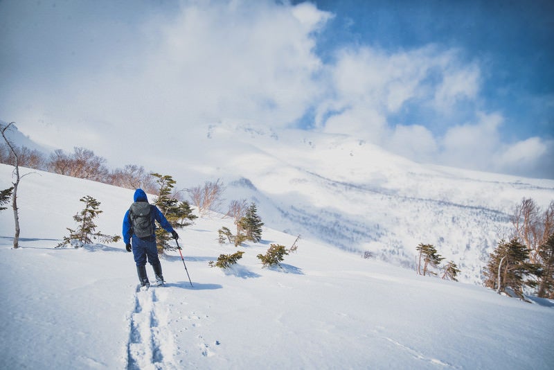 乗鞍高原を見渡す登山者（北アルプス）の写真