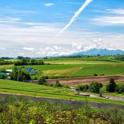 高台から見渡す畑のある風景（北海道）の写真