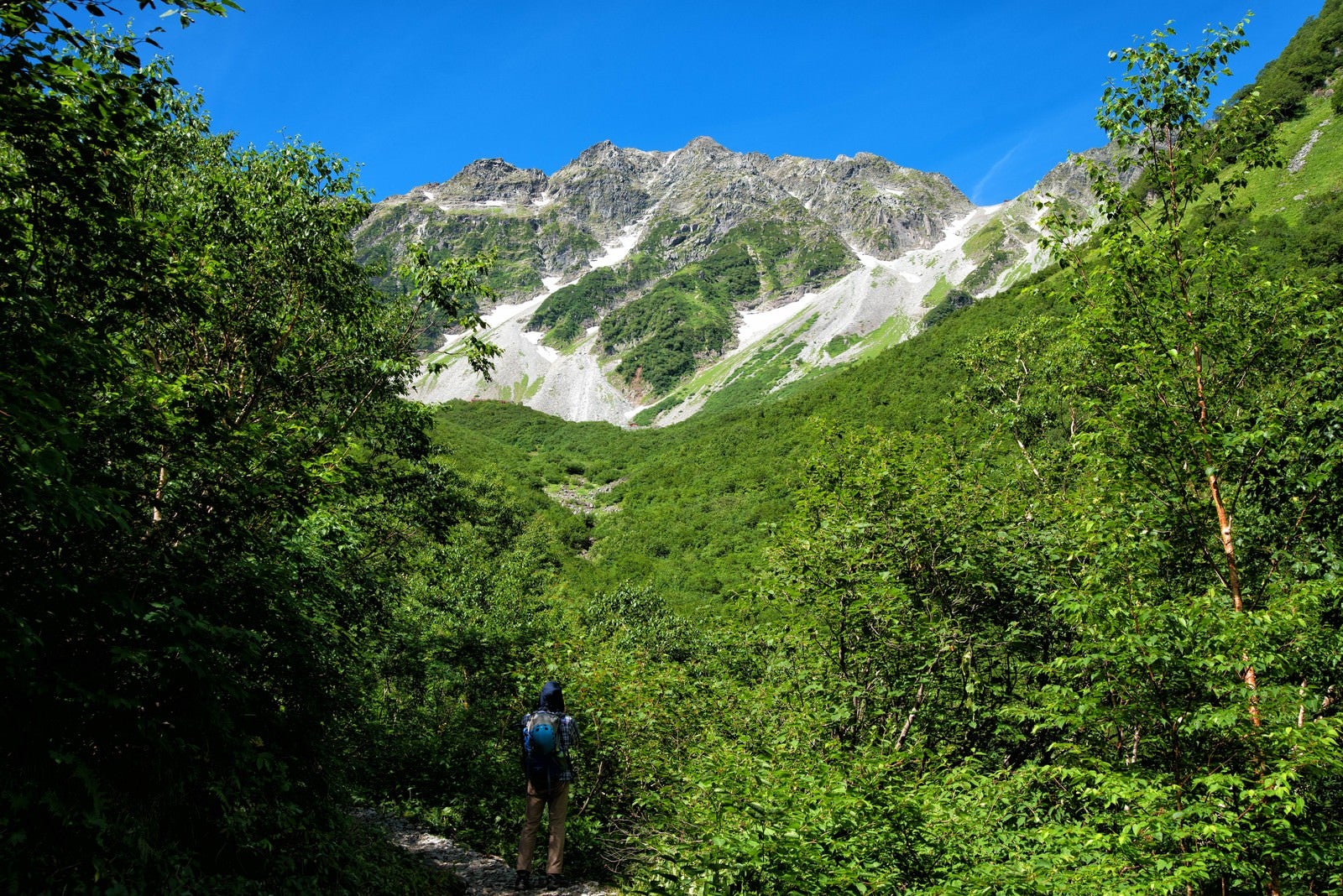 「新緑の涸沢カールを見上げる登山者」の写真