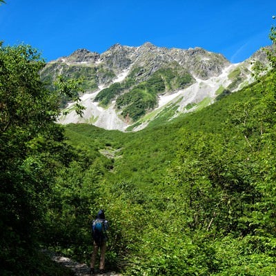 新緑の涸沢カールを見上げる登山者の写真