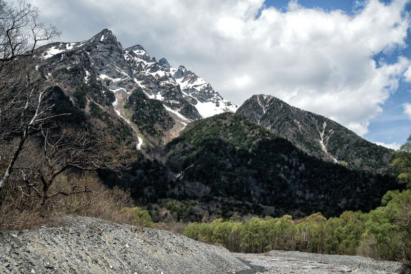 新緑の明神岳と麓の森の写真