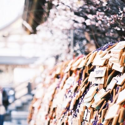 合格を願うたくさんの湯島天神の絵馬の写真