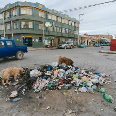 ウユニ市街のゴミを漁る野犬の写真