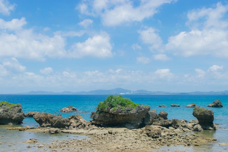 夏の海と岩礁の写真