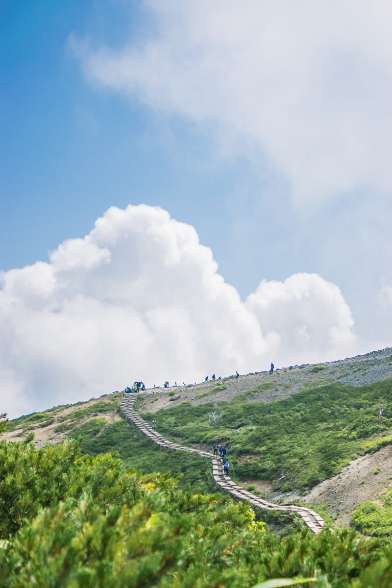 木道を行き来する登山者の写真