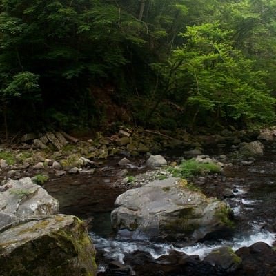 上流の川の写真