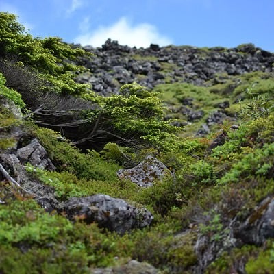 ゴツゴツした岩場と空の写真