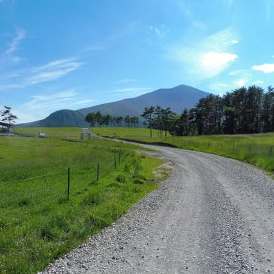 浅間牧場の遊歩道の写真